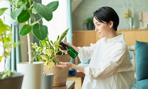 様々なサービス